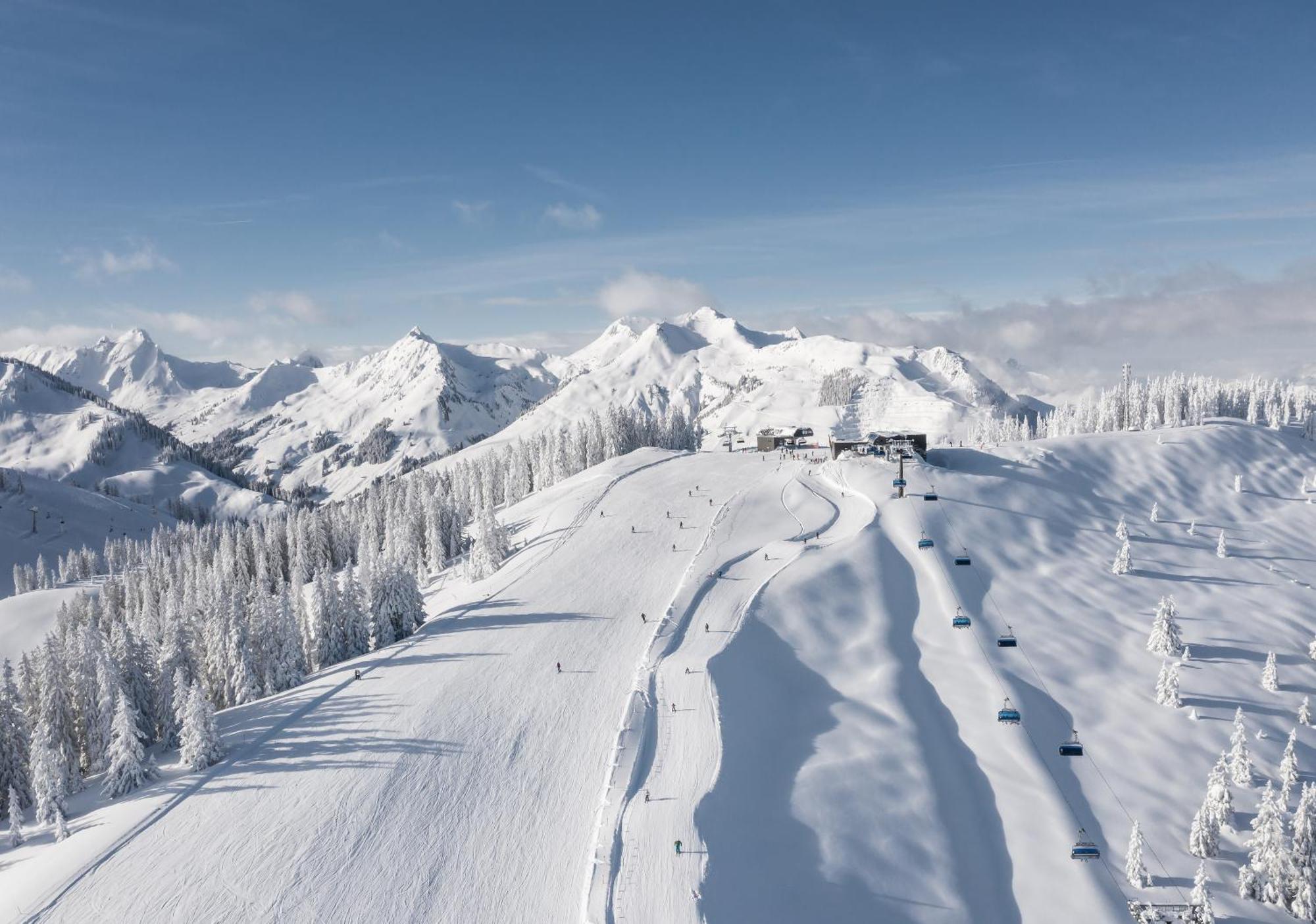 Alm Seasons Premium Chalet & Studios Зальбах-Хинтерглемм Экстерьер фото