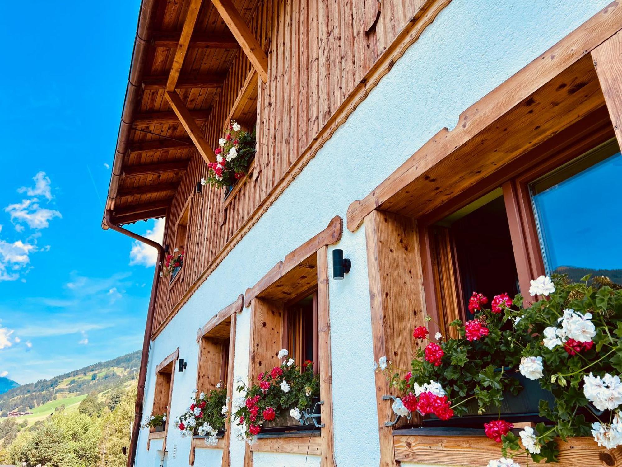 Alm Seasons Premium Chalet & Studios Зальбах-Хинтерглемм Экстерьер фото